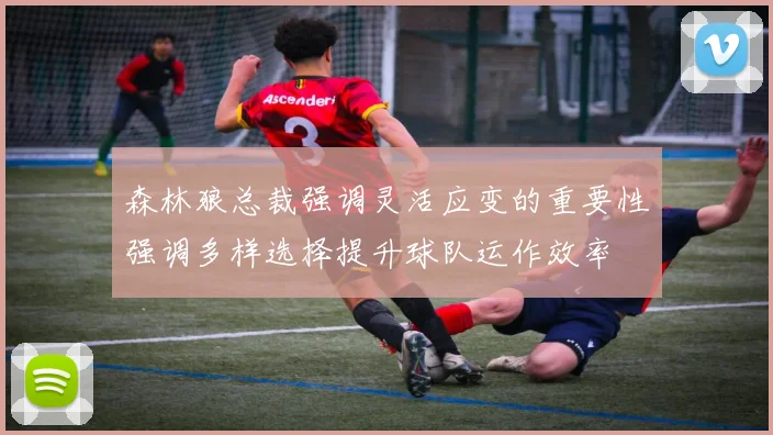森林狼总裁强调灵活应变的重要性强调多样选择提升球队运作效率