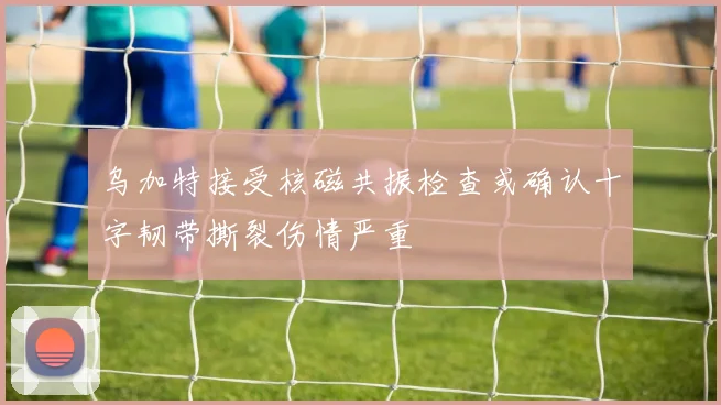 乌加特接受核磁共振检查或确认十字韧带撕裂伤情严重
