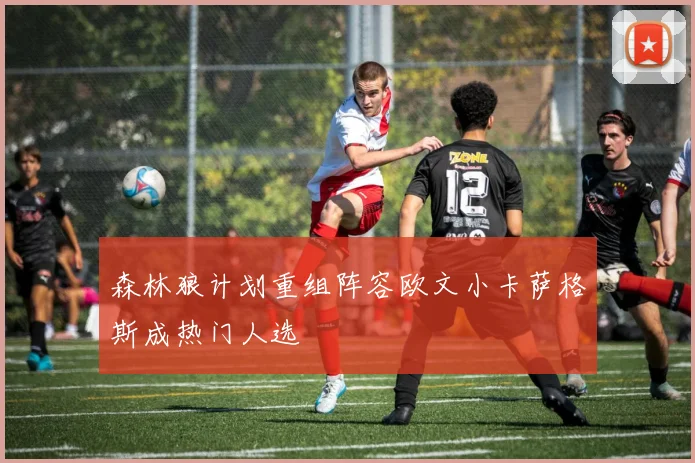 森林狼计划重组阵容欧文小卡萨格斯成热门人选